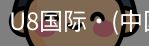 U8国际